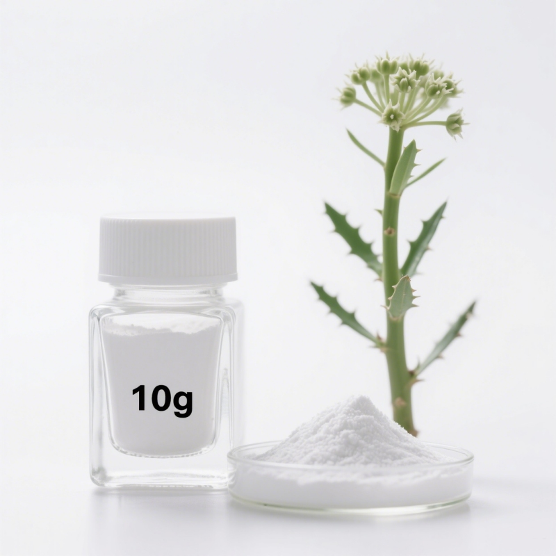 Ingenol-5,20-acetonide